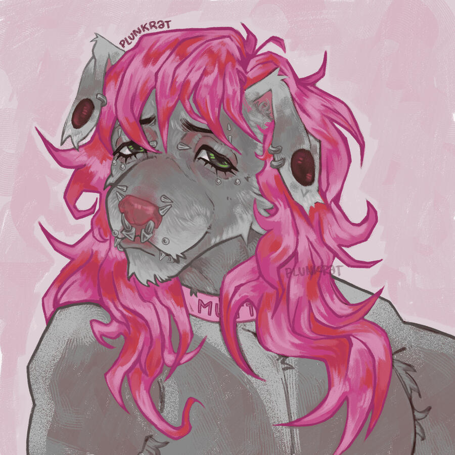 sona icon